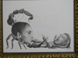 Exposición el tiempo de la Crisálida